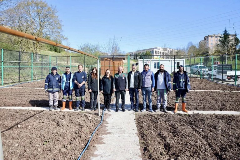 Körfez’de ata tohumu üretimi yapılacak!